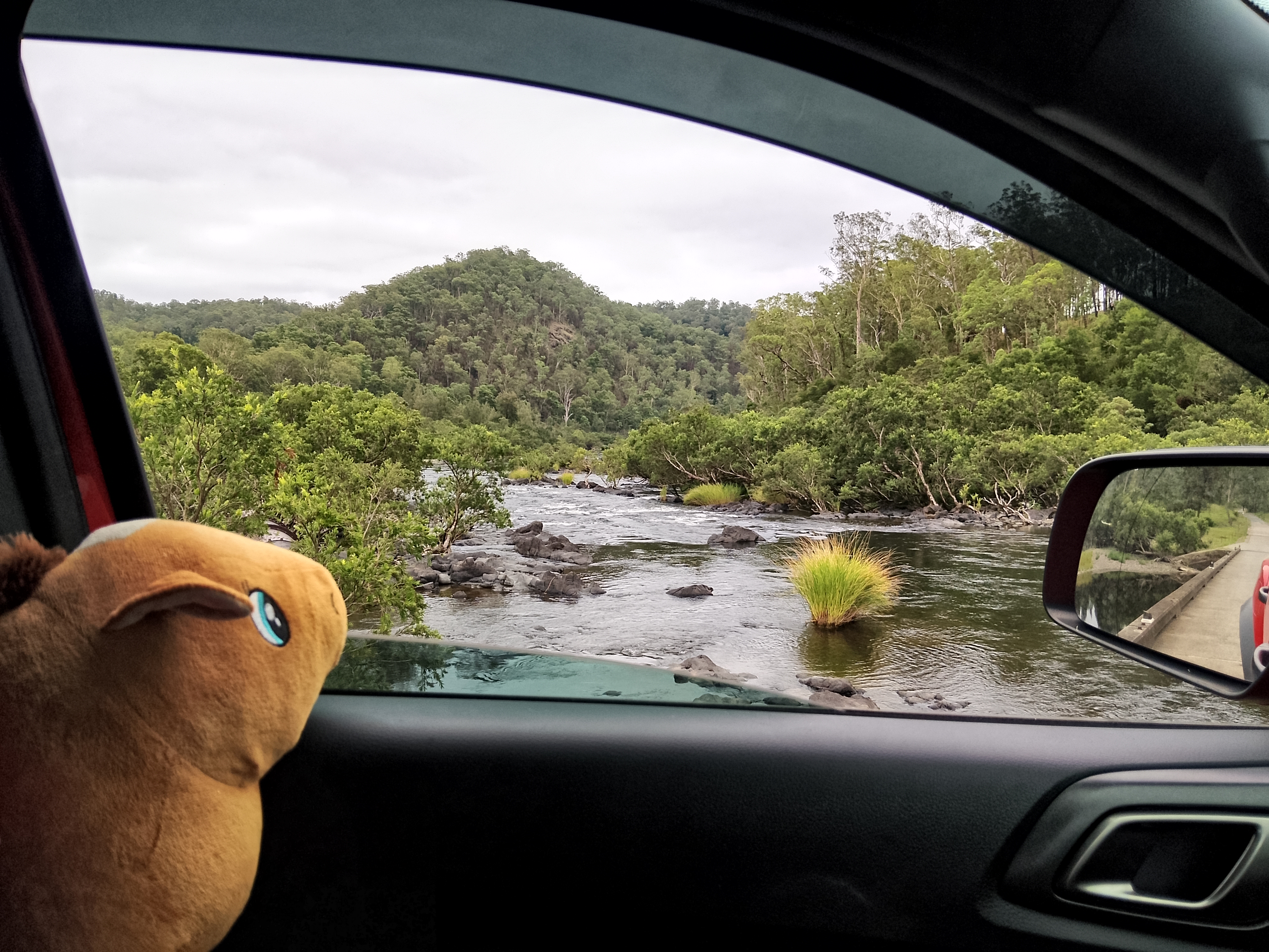 Buccarumbi bridge on the way to Grassgum Farm
